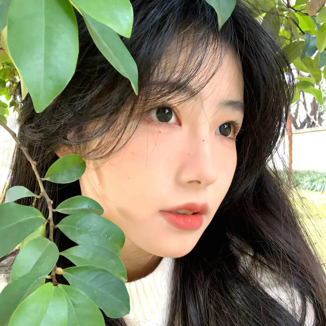 河东狮吼
